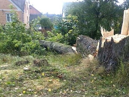 Фото 23 вересня