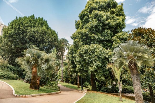 Яхти, пальми та спорткари: луцький фотограф показав красу Монте-Карло