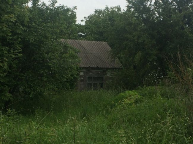 Колись людне село на Волині перетворилось на хутір, де проживає лише дві людини. ФОТО