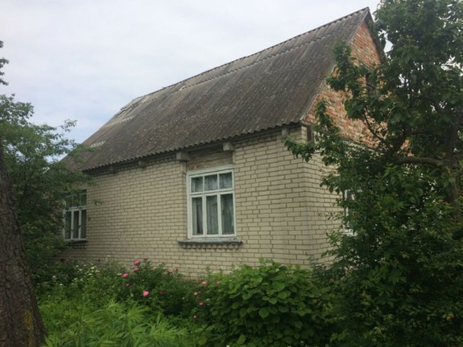 Колись людне село на Волині перетворилось на хутір, де проживає лише дві людини. ФОТО