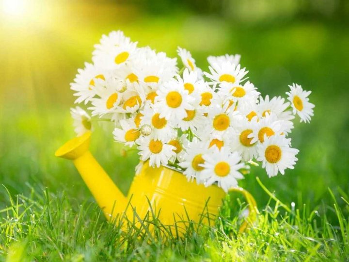 Якою буде погода у Луцьку та на Волині в неділю, 31 серпня