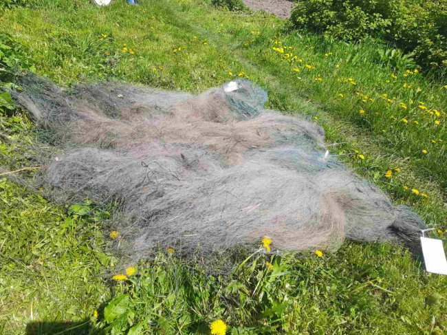 Збитків на понад 200 тисяч: на Волині браконьєр сітками ловив рибу у заказнику