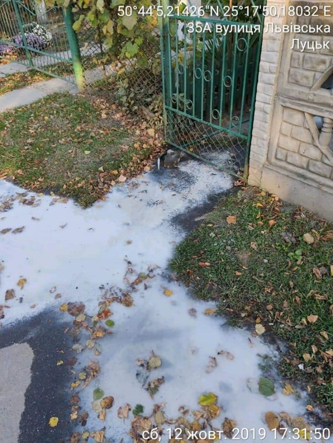 Лучанка зливала  на дорогу нечистоти. ФОТО