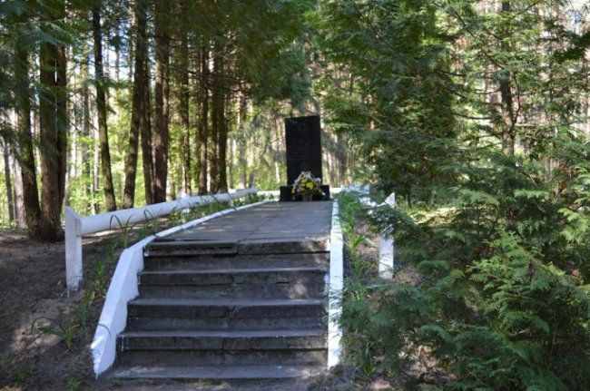 Як оберігають тисячі могил у волинських лісах