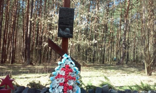 Як оберігають тисячі могил у волинських лісах