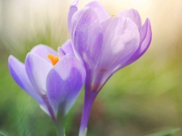 Яке свято 14 березня та чому сьогодні не можна пити алкоголь: прикмети, заборони, традиції