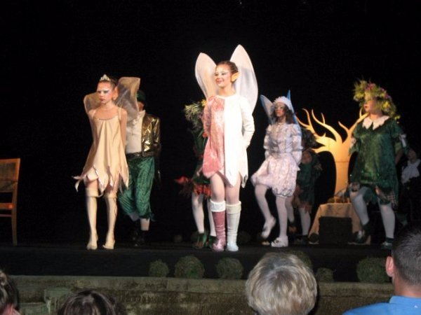 Маленькі обдаровані лучани створили казку у Львові. ФОТО