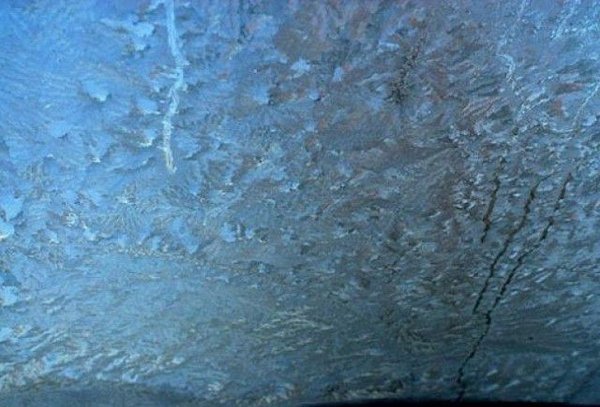 Розморожує лобове скло