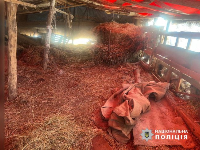 На Волині розшукали двох зниклих школярок