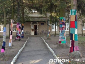 Проведуть службове розслідування щодо керівництва одного з волинських навчально-реабілітаційних центрів 