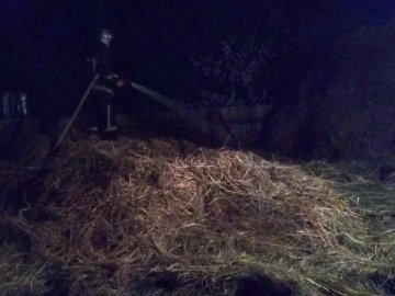 Через необережне поводження з вогнем у волинян згоріло два стіжки сіна. ФОТО