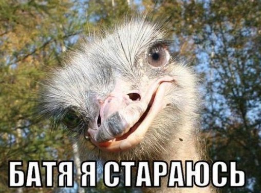 «Підтримувач страусів»: у Мережі висміяли інтерв'ю Януковича. ФОТО