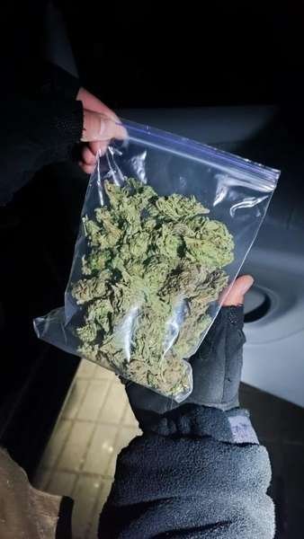 Майже півтора кілограми канабісу на продаж: двом волинянам повідомили про підозру. ФОТО