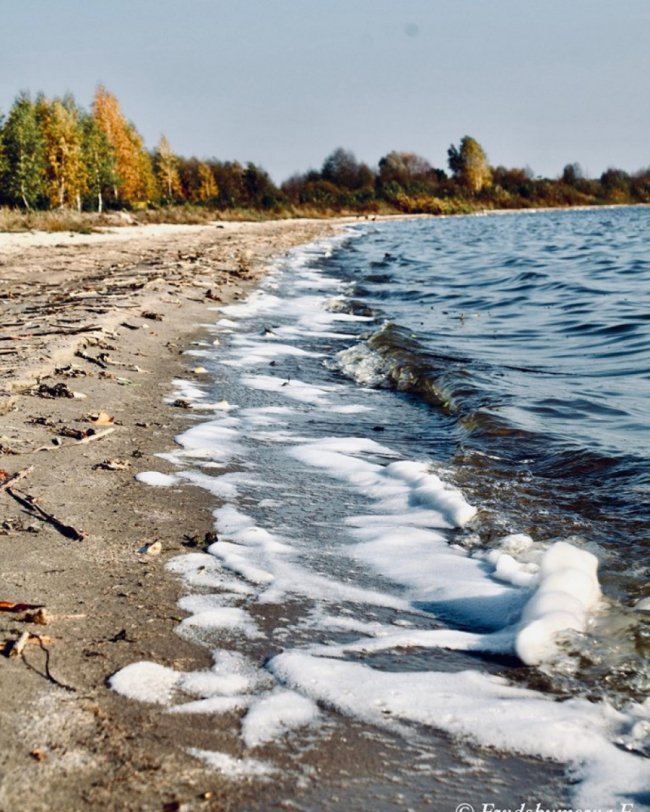 Осіння магія Шацьких озер. ФОТО