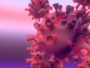 На Волині за тиждень від COVID-19 померли дві людини