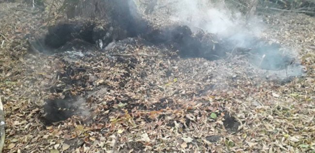 У волинському місті загорівся торф. ВІДЕО