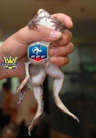 Фотожаби і меми про матч Україна – Франція. ФОТО