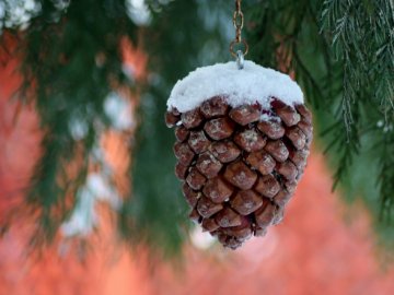 Погода в Луцьку та Волинській області на завтра, 18 січня
