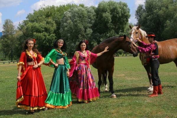 Танцювальний Луцьк: шоу-балет «LAVITA» 