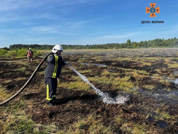 На Волині горіли торф'яники. ФОТО
