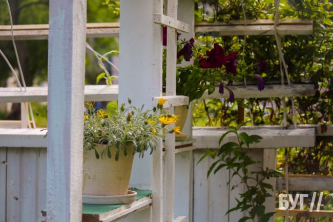 Замість сміттєзвалища волинянка створила зону відпочинку біля багатоповерхівок. ФОТО