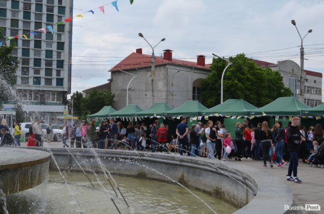 Фестиваль «Мокрі носики» біля луцького «Променя»: як безпритульним пухнастикам шукали дім. ФОТО