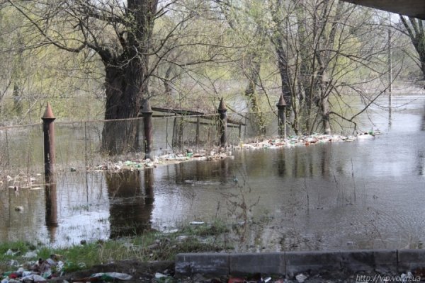 Як прибирали Луцьк. ФОТО