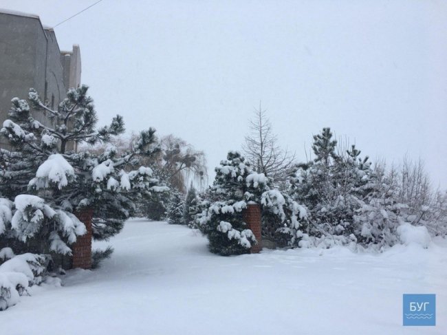 Нововолинськ у полоні зими: як комунальники чистять дороги. ФОТО