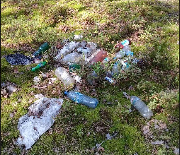 Підгузки, банки і пляшки: у лісі на Волині – купи сміття