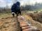 У полі на Волині знайшли арсенал старих боєприпасів
