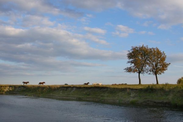 Copyright: Andriy Mykhailov