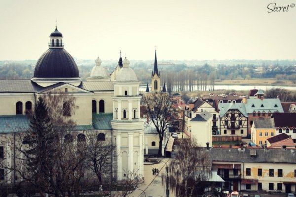 Фото: Олександра Містюк
