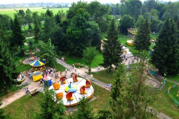 Високо сиджу, далеко хочу. Фото: Павло Березюк