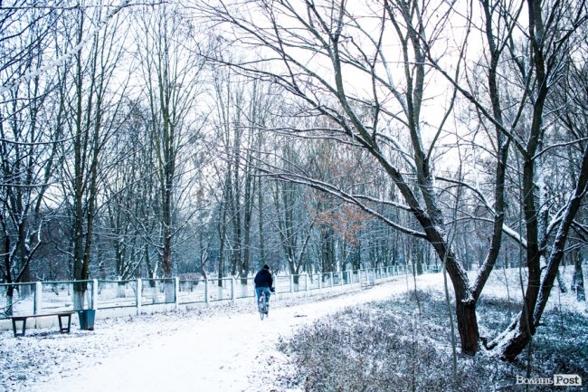 Парк 900-річчя Луцька під першим снігом. ФОТО