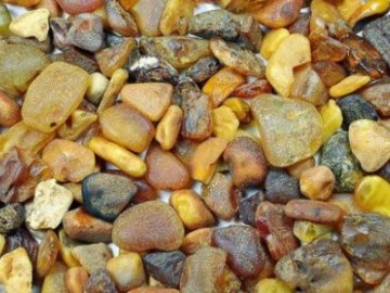 Як і чому бурштин з Волині та Рівненщини потрапляє у Китай. ВІДЕО