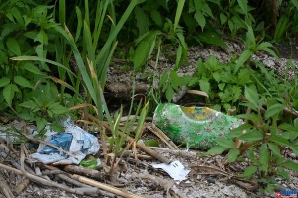 Як молодь прибирала Ковельське водосховище. ФОТО