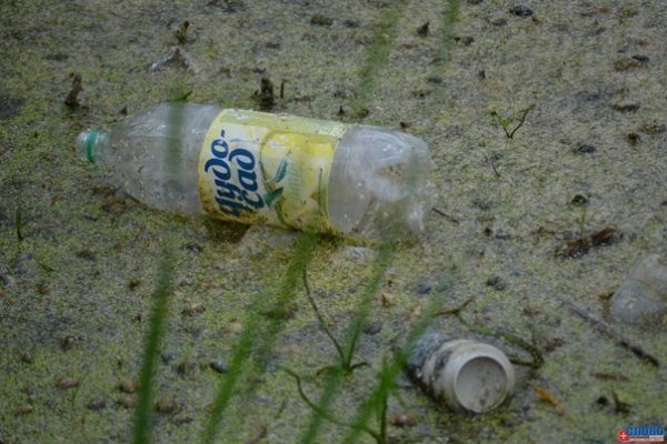 Як молодь прибирала Ковельське водосховище. ФОТО