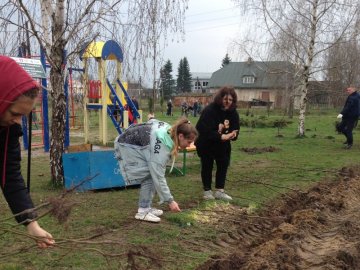 У Прилуцькому створили новий сквер, де висадили понад 600 саджанців