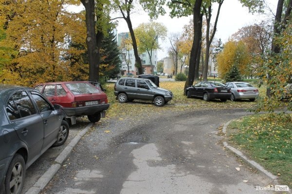 «Якщо жінка забеременніла в лісі, то що, лісники мають аліменти платити?» - головний лісівник Волині
