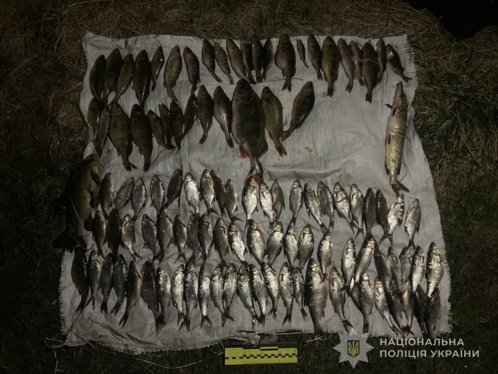 У волинянина вилучили п’ять риболовних сіток і понад сотню різної риби: збитки - майже пів мільйона гривень