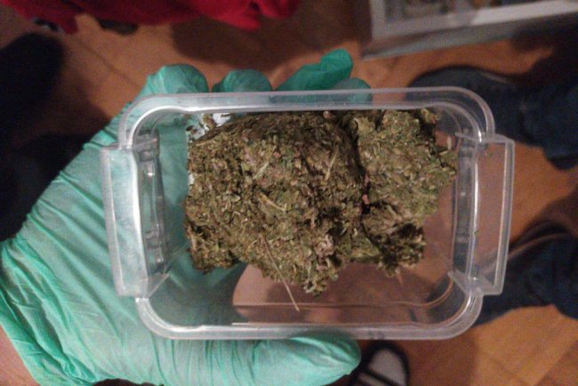 Двоє лучан організували наркобізнес на Волині. ФОТО