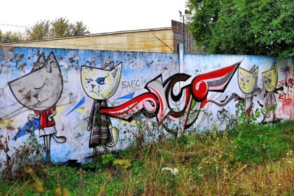 Фото: Павло Березюк