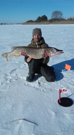 «Адреналін зашкалював»: волинянин спіймав величезну щуку. ФОТО