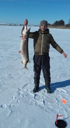 «Адреналін зашкалював»: волинянин спіймав величезну щуку. ФОТО