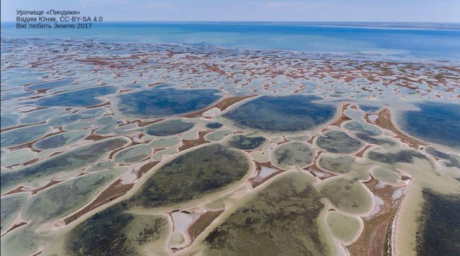 Урочище «Пиндики», Джарилгацький національний природний парк. Вадим Юник