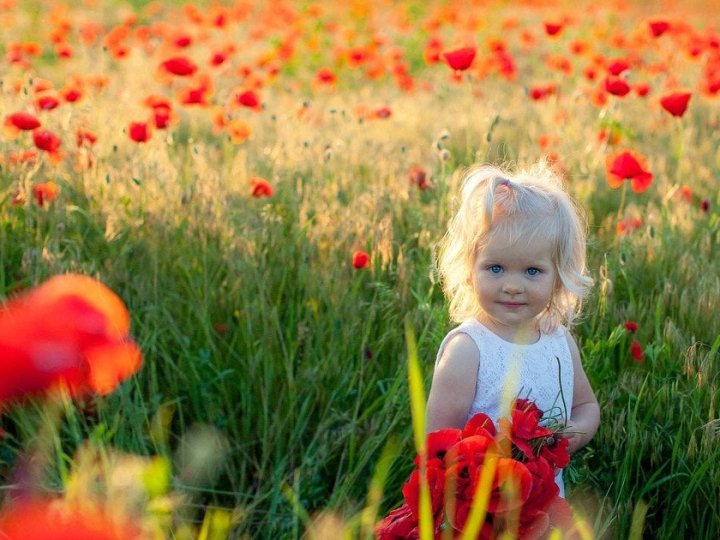 День Незалежності України 2025 року: чи буде додатковий вихідний цього разу