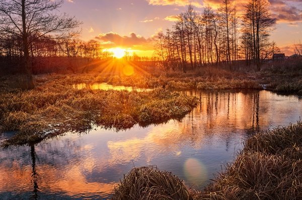 Фотовиставка Олександра Калініна