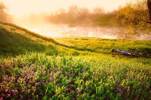 Фотовиставка Олександра Калініна