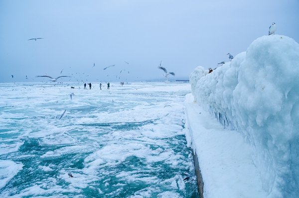 Фотовиставка Олександра Калініна