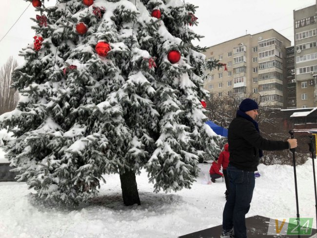 Вперше біля луцького РАЦСу прикрасили новорічну красуню. ФОТО